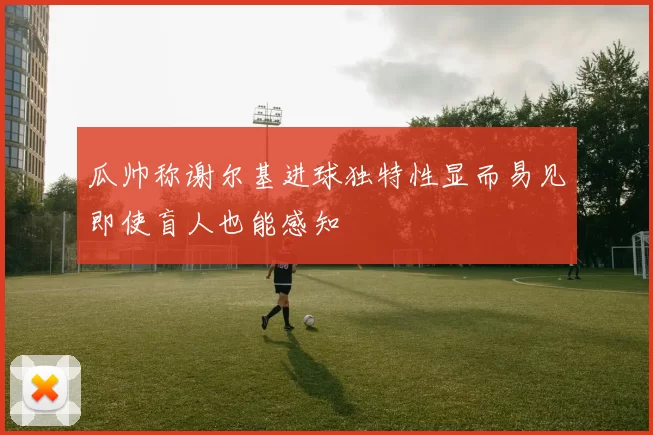 瓜帅称谢尔基进球独特性显而易见即使盲人也能感知